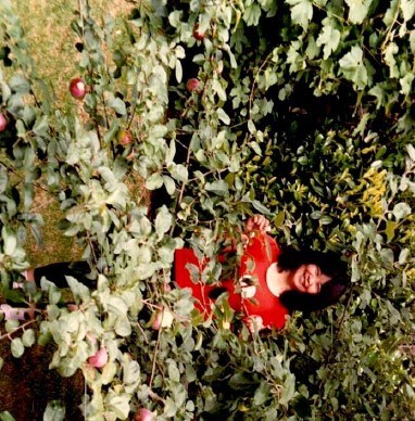 Obituario de Hisako Manley