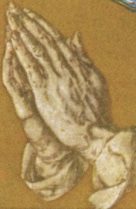 Obituary of Anne Rosemary Williams