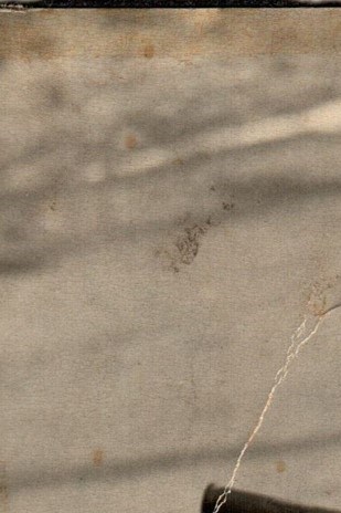 James Stringfield Obituary - Tampa, FL