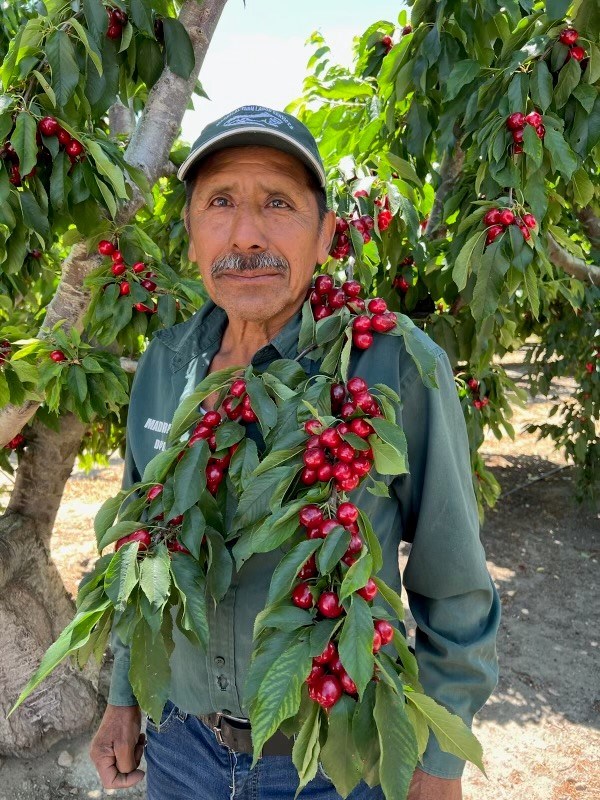 Obituary of Jesus Plancarte Aguilar