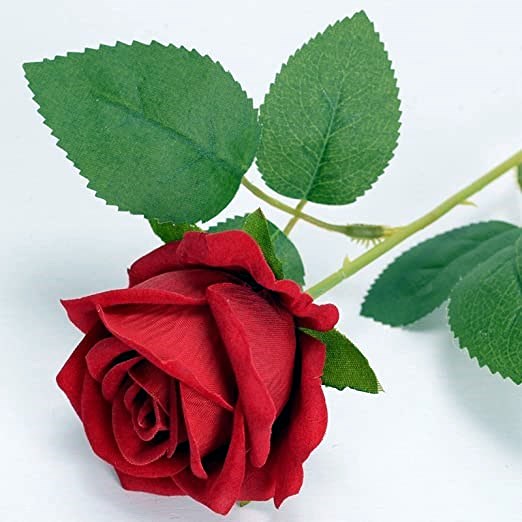 Avis de décès de Helen otte