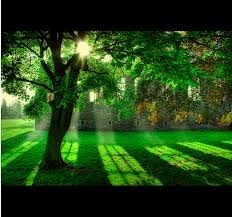 Obituary of Jack Lee Dunham