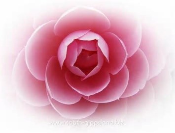 Obituary of Patsy A. Baggett