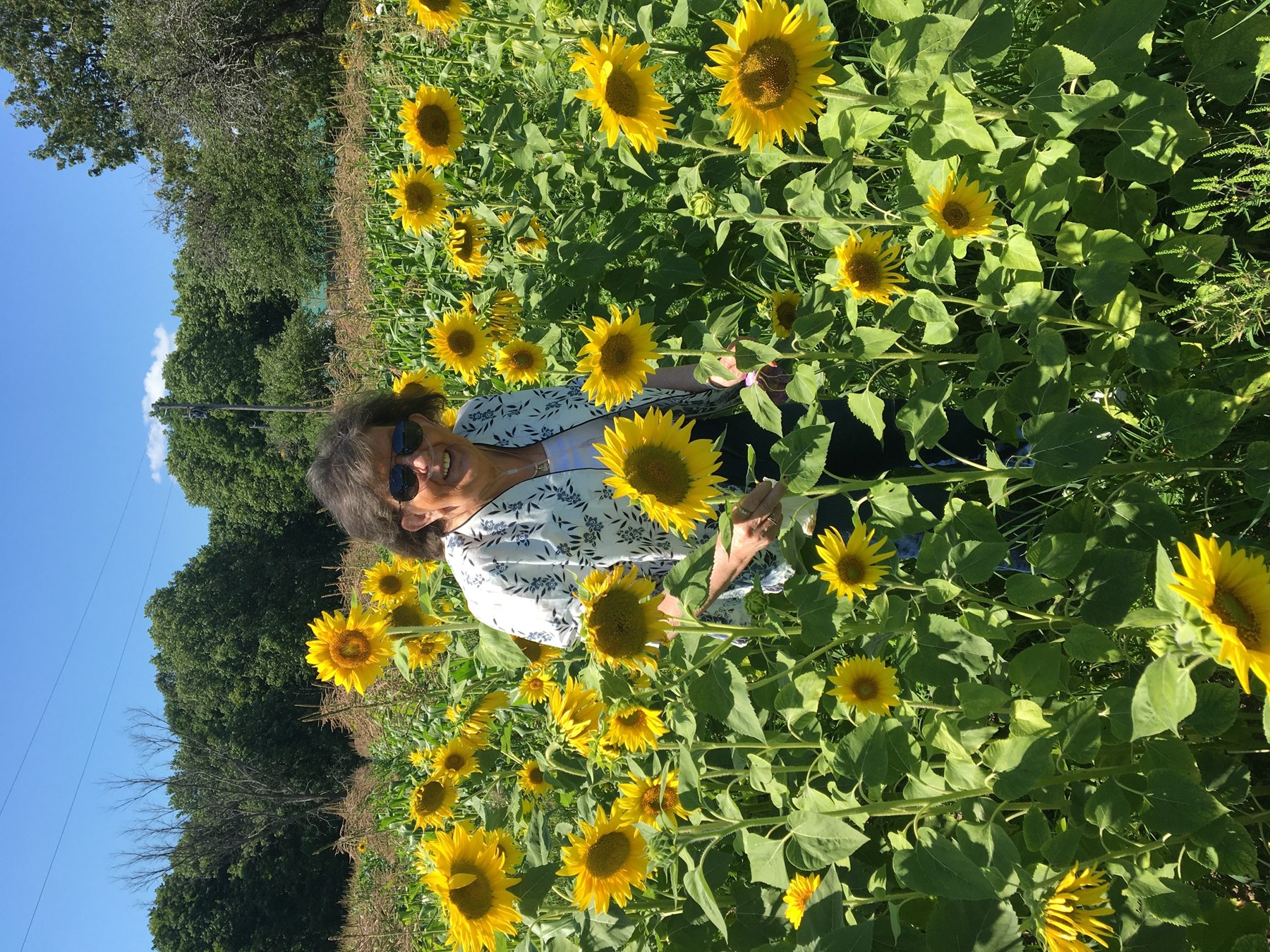 Obituary of Dianne Lee Arbuckle