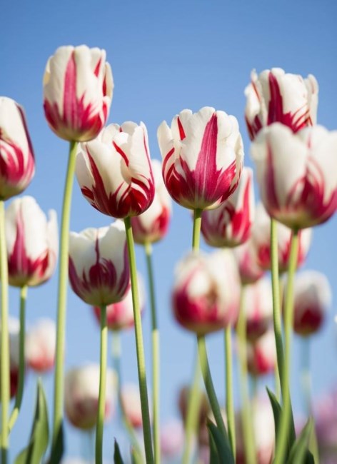 Obituary of Sandra Kelly