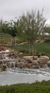 Obituary of Steven Mathew Ahlers