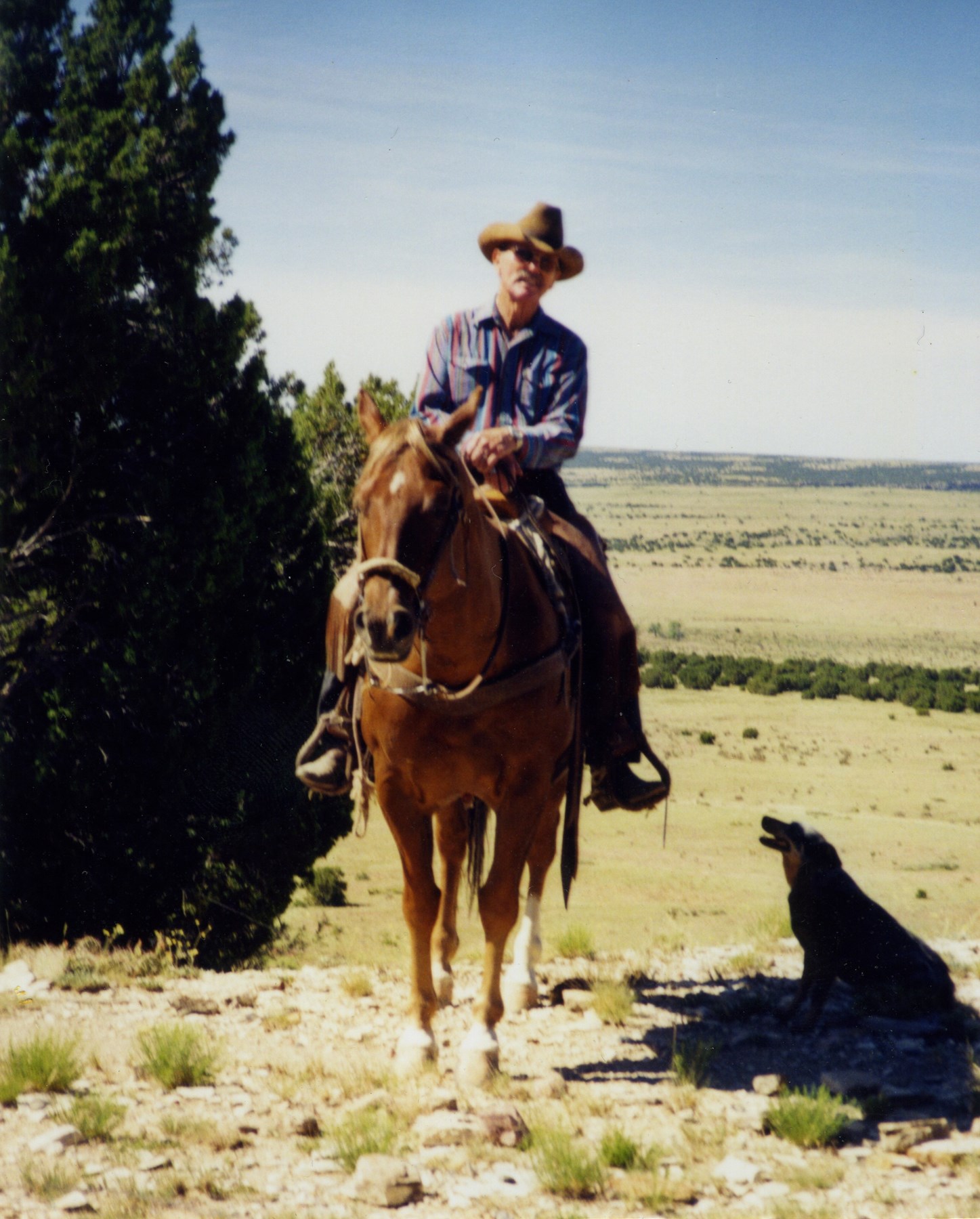 Obituary of Robert Knight