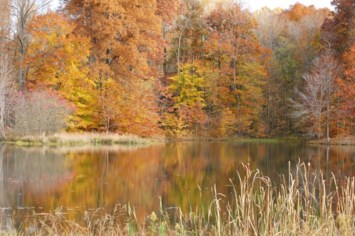 Obituary of John David Fields III