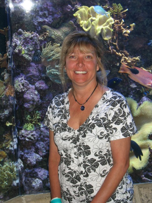 Obituario de Kelly Renee King (Knecht)