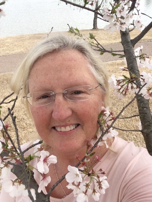 Obituary of Anita Faye Mason Ward