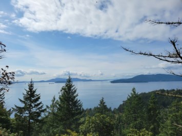 Obituary of William Garrett Vander Sanden