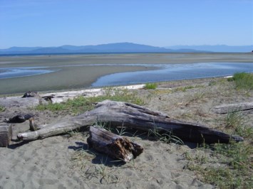 Obituary of William Leonard WALKER