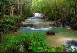 Obituary of Joe Wayne Rice Jr.