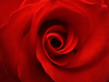 Obituary of Beverly Jean Gibson