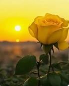 Obituary of Arden Marie Stanley