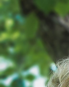 Janice Sanders Obituary - Northport, AL