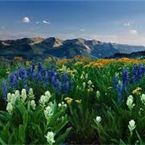 Obituary of Raymond Bennett Hovland