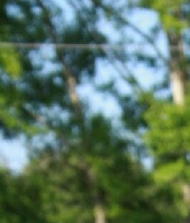 William Wetzler Obituary Poplarville, MS