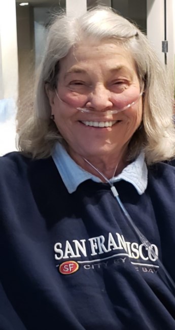 Obituary of Judith Ann Van Train