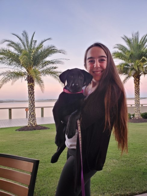 Obituary of Kaitlyn Kyla McNamara