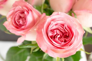 Obituary of Leona Marie Cavenaile