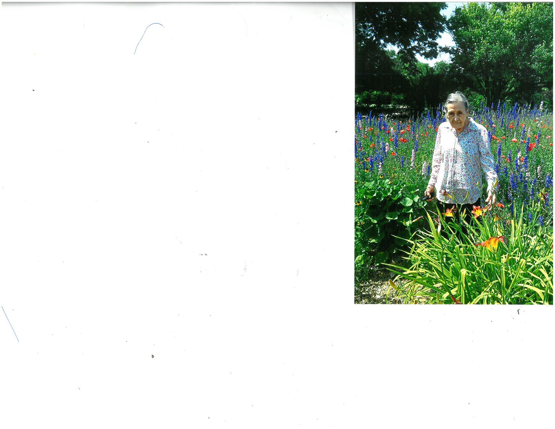 Obituary of Natalia Portillo