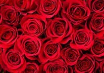 Obituary of Thomas Lee Daugherty