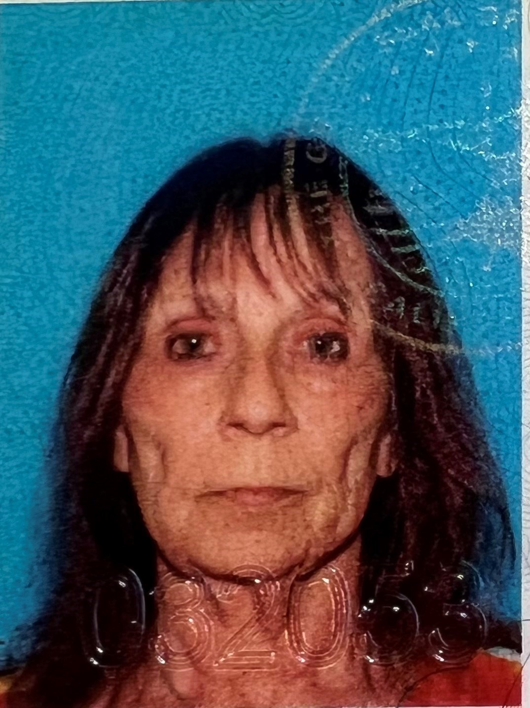 Obituary of Donna L McCLENAHAN