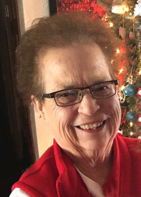 Obituary of Karen Sue Lighter