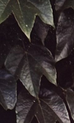 Columbus Ohio High School Football Schedule Today Columbus Ohio High School Football Schedule Today