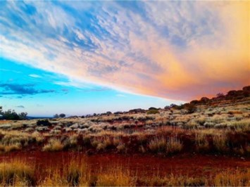 Obituary of Patricia Louise Gilliam