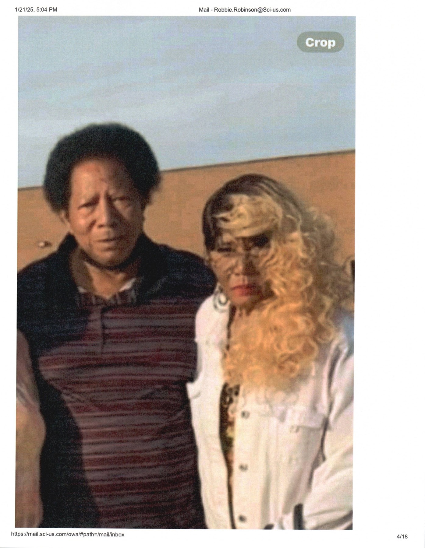 Obituary of Dorothy Levi