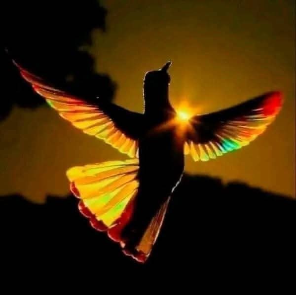 Obituary of Yan Labrecque-De Ruyter