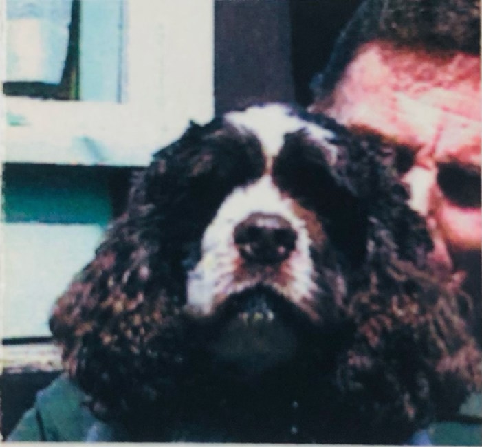 Obituary of Calvin Elliott Poole II