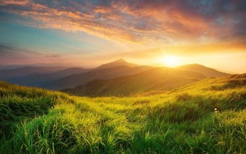 Obituary of Steven Arnold Anderson