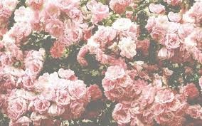Obituary of Marilyn Elizabeth Brodersen