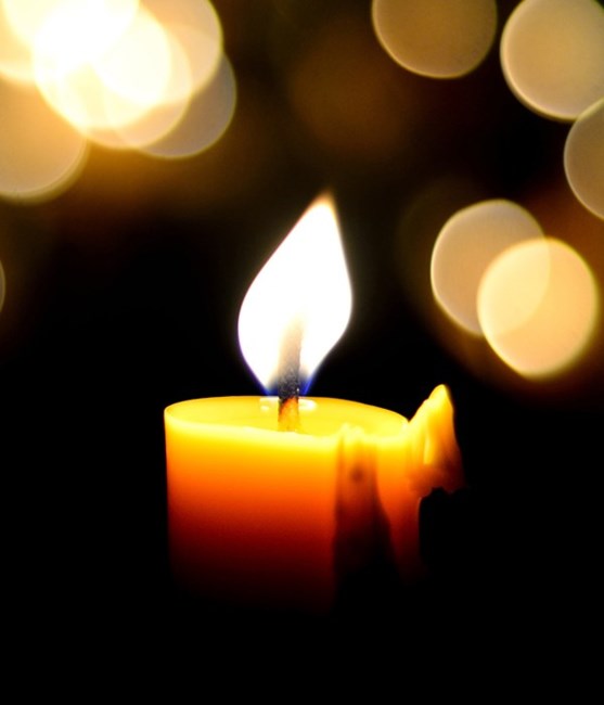 Obituary of Bowan Demon Williams