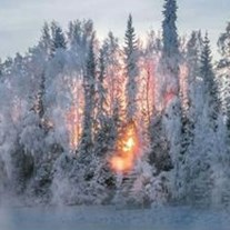 Obituary of Nancy Maureen Leonard