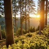 Obituary of Jasper Doyne Barry