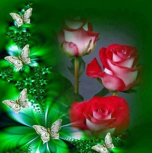 Obituary of Suncica Glogovac