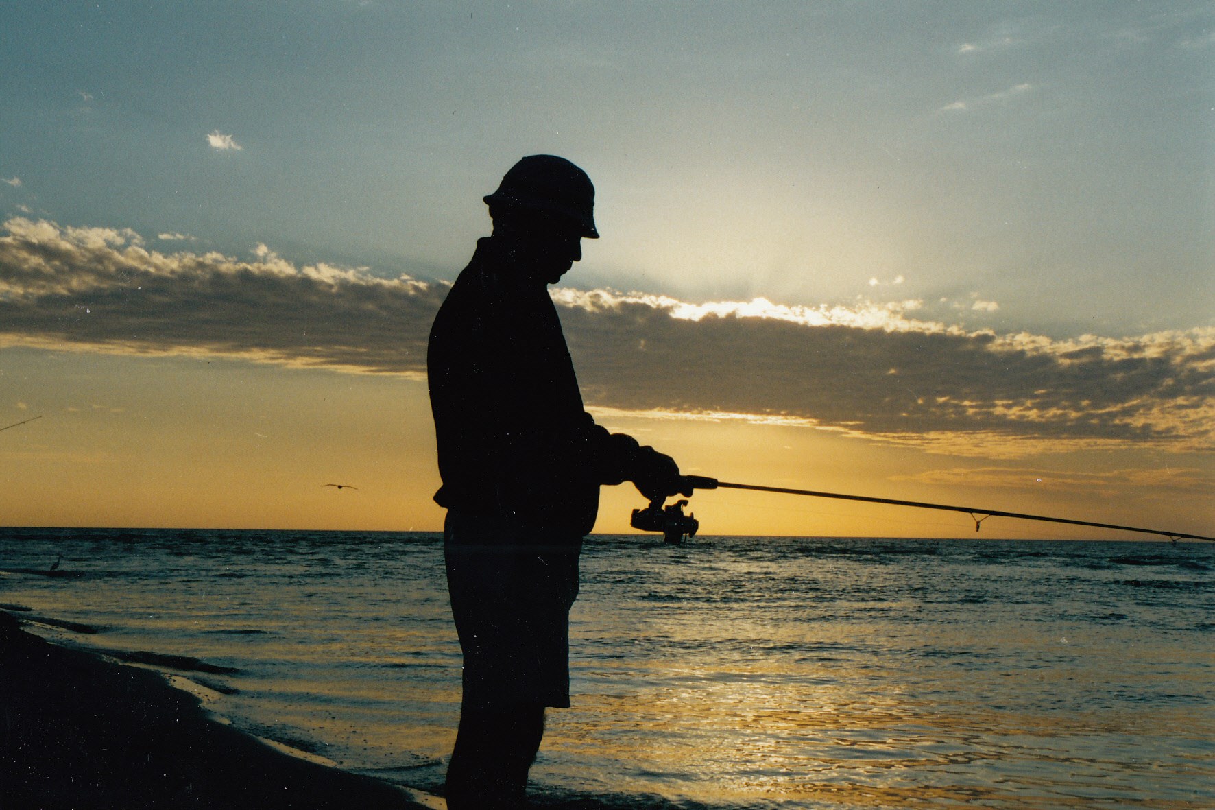 Obituary of Walter Carl Green