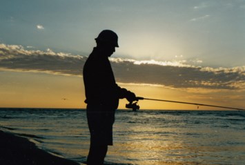 Obituary of Walter Carl Green