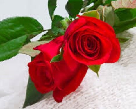 Obituary of Celeste Arrington Clyborne