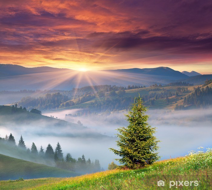 Obituary of Wesley James Crossman