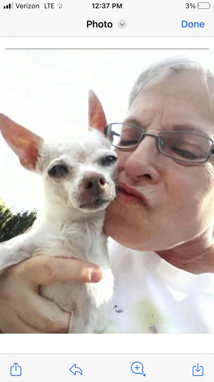 Obituary of Diane Falkowitz