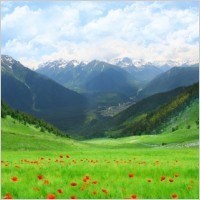 Obituary of Brent Jack Harlin