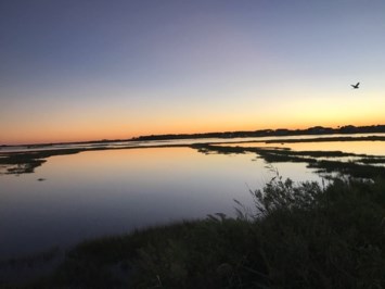 Obituary of Mason Lee Elliott