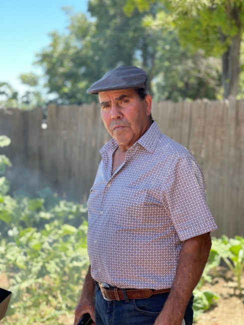 Obituary of João Manuel Borges Lopes