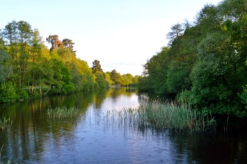 Avis de décès de Ammiel Kafunda Ilunga