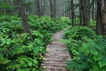 Obituary of John Edward Zimmerman